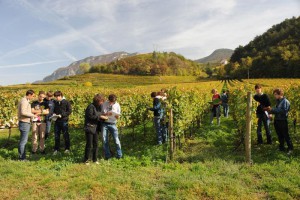 Brevetti-per-imprenditori-agricoli-al-via-il-corso-biennale_popup