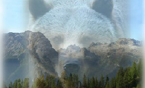 orso300p_1304001160