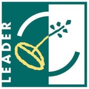 LOGO-LEADER-COLORE-POSITIVO3-300x300