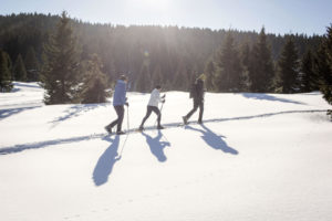 29972_imagefullwide