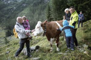 albe-in-malga_val-di-fiemme