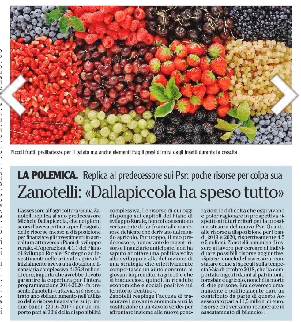 speso tutto-01